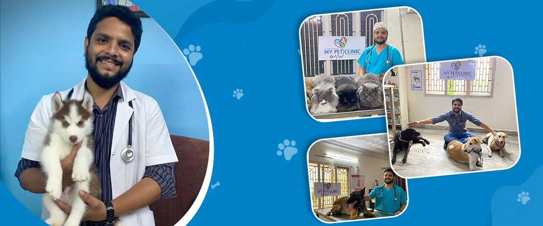 pet care services in visakhapatnam